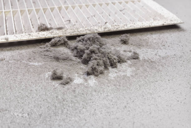 Best Affordable HVAC Duct Cleaning  in Pelican Rapids, MN