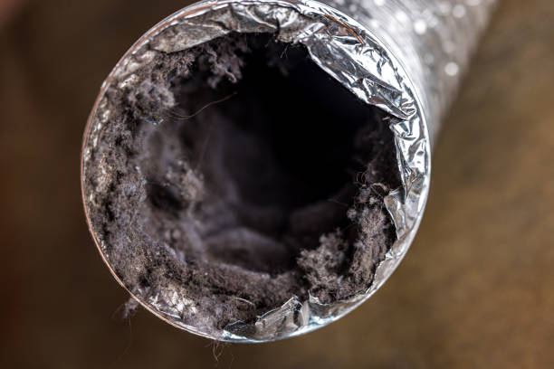 Best HVAC Maintenance and Cleaning  in Pelican Rapids, MN