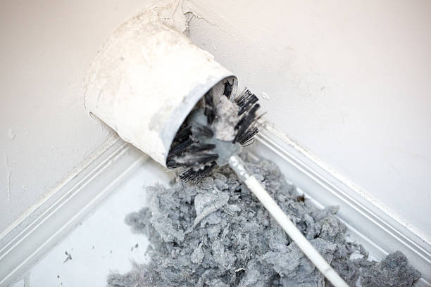 Best Commercial Air Duct Cleaning  in Pelican Rapids, MN